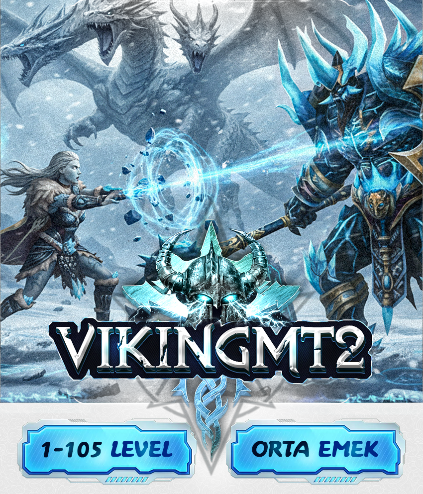 Viking Server Logo